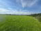 Photo 3 of Circa 41 Acres Of Land, Bishopscourt Road