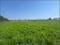 Photo 5 of Circa 41 Acres Of Land, Bishopscourt Road