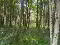 Photo 8 of Circa 41 Acres Of Land, Bishopscourt Road