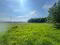 Photo 6 of Circa 41 Acres Of Land, Bishopscourt Road