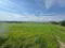 Photo 2 of Circa 41 Acres Of Land, Bishopscourt Road