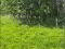 Photo 12 of Circa 41 Acres Of Land, Bishopscourt Road