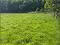 Photo 15 of Circa 41 Acres Of Land, Bishopscourt Road