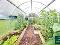 Photo 24 of 195 Tamlaght Road, Omagh