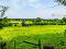 Photo 44 of 86 Lisnagrot Road, Kilrea, Coleraine