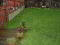 Photo 9 of 4 Barley Mews, Barley Lane, Newry