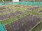 Photo 3 of Lettuce Grow Private Allotments, Old Tullygarley Road, Ballymena
