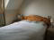 Photo 6 of 12 Collingwood Drive, Lurgan
