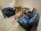 Photo 2 of Great Apartment, 2c Dudley Street, University Quarter, Belfast