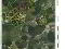 Photo 11 of Land, Drumnaconagher Road, Crossgar, Downpatrick