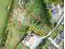 Photo 11 of Adjacent To, 21A Downpatrick Road, Ardglass