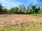 Photo 9 of Loughan Road, Coleraine