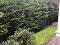 Photo 10 of 12 Sandringham Mews, Ballyhackamore, Belfast