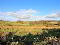 Photo 4 of Agricultural Land At Tardree Road, Kells, Ballymena