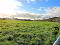 Photo 6 of Agricultural Land At Tardree Road, Kells, Ballymena