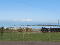 Photo 9 of 12 Ballywalter Road, Millisle