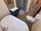 Photo 47 of Semi Detached, Beechcroft, Belfast Road, Dollingstown, Lurgan