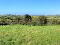 Panoramic view from Site.jpeg