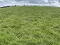 Photo 11 of Lands At, 65 Ballydonnell Road, Downpatrick
