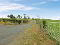 IMG_8423 20- 20Copy.JPG