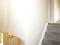 IMG_8606 20- 20Copy.JPG