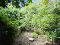 IMG_9359 20- 20Copy.JPG
