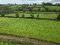 Photo 10 of Lands At Dernaborey Road, Dungannon