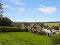Photo 23 of 9 Clintons Park, Downpatrick