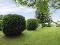 IMG_4387 20- 20Copy 20 282 29.JPG