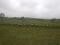 Photo 3 of 60 Acres Of Land, Glenedra Road, Feeny, Londonderry