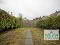 Photo 16 of 7 Formby Park, Belfast